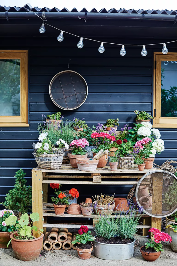 Image credit: Brent Darby - Gardening Ideas