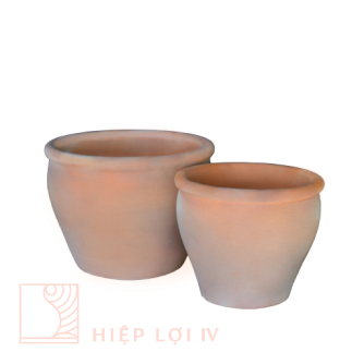 Garlic - Terracotta Planters and Pots