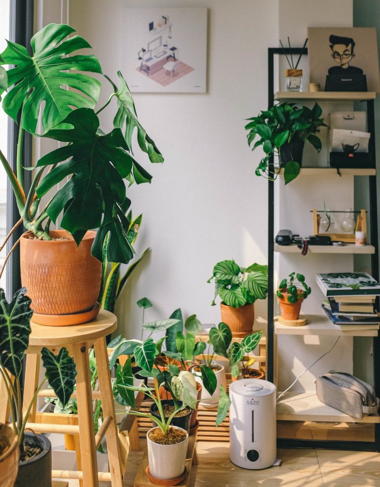 Chậu trồng cây bằng gốm đất nung