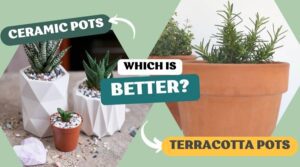 Ceramics vs. Terracotta